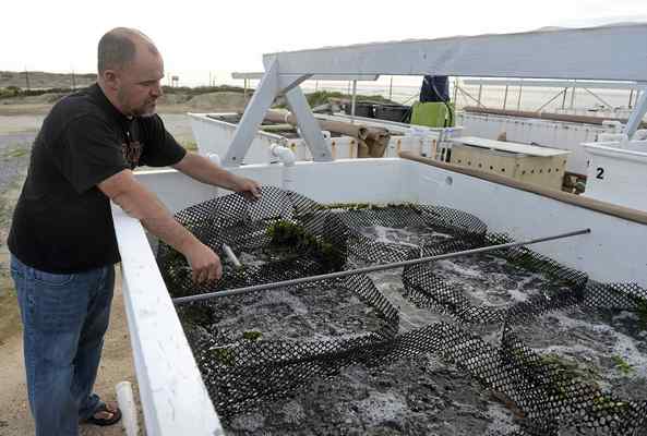 Santa Cruz Sentinel: Aquaculture: The next great Monterey County frontier?