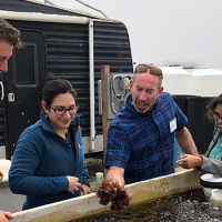 Responsible Aquaculture Lures Support in California