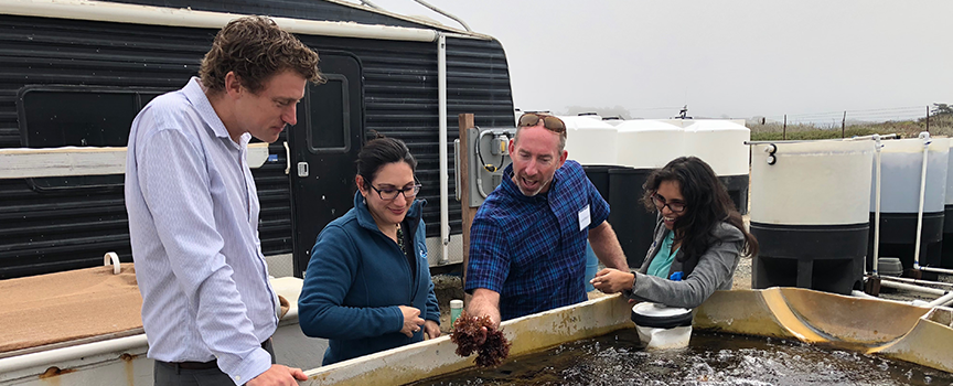 Responsible Aquaculture Lures Support in California