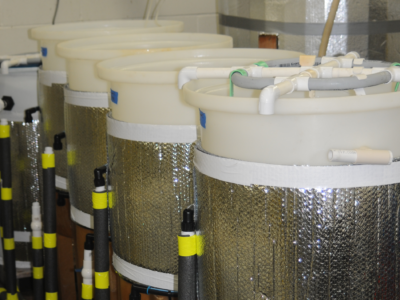 Settling tanks.