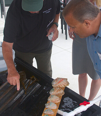 Aquaculture Center Tank Demonstration.