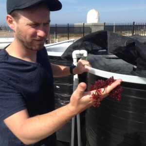 Dan Gossard holding sea grapes.