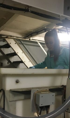 Graduate student, Holly Doerr, checks water levels in ballast sampling tanks.