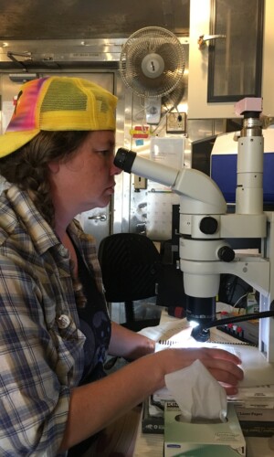 Research Technician, Jasmine Ruvalcaba, counts zooplankton on a dissecting microscope.