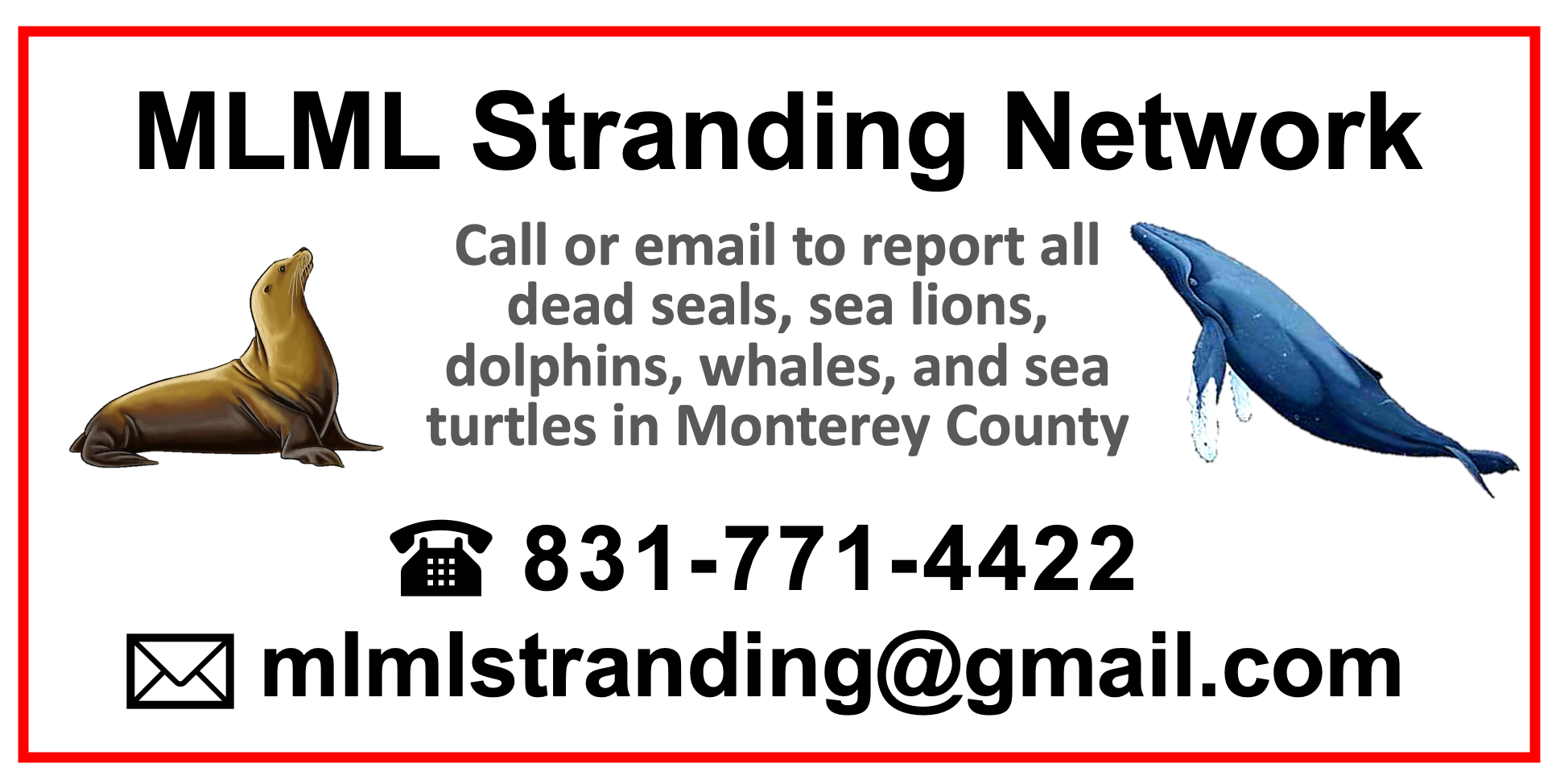 Marine Mammal Stranding Network