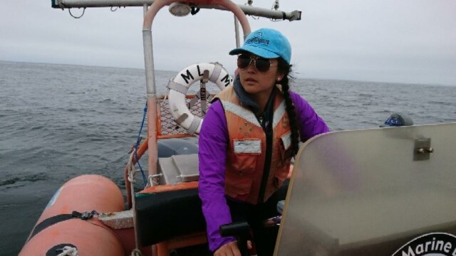 By Alison Stimpert (own work)