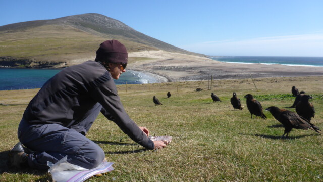 By Katie Harrington (own work)