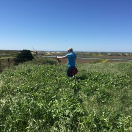 By Gitte McDonald (own work)