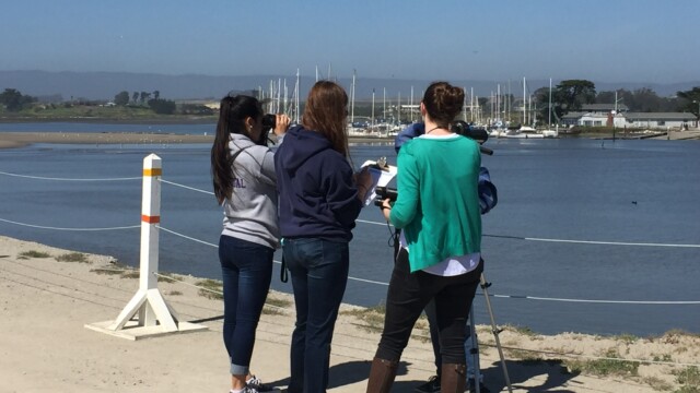 By Gitte McDonald (own work)