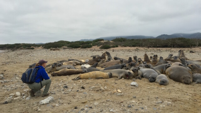 By Heather Barrett (own work)