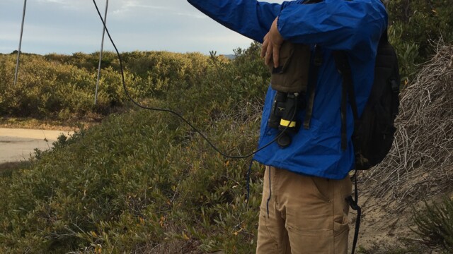 By Jennifer Johnson (own work)