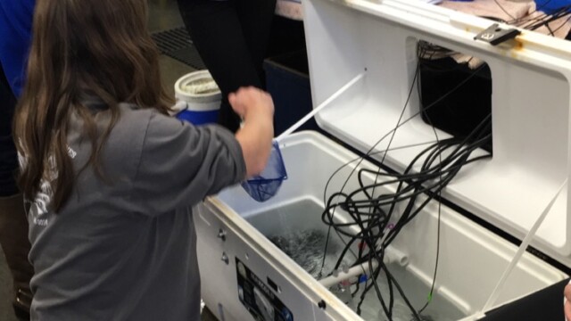 By Jennifer Johnson (own work)