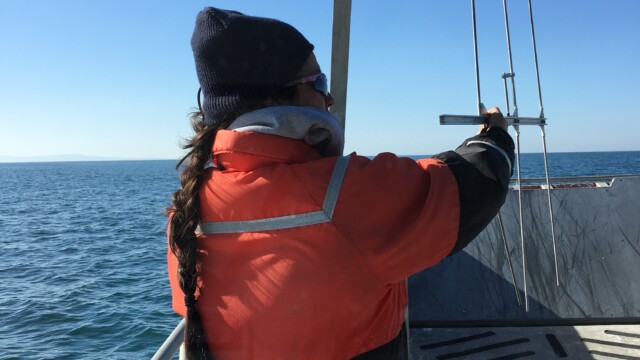 By Jennifer Johnson (own work)