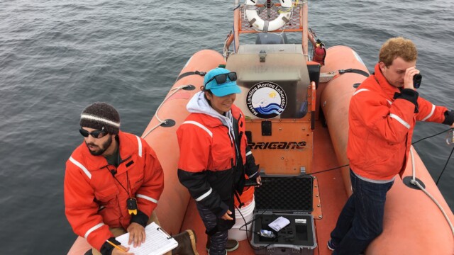 By Jennifer Johnson (own work)