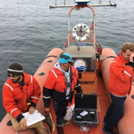 By Jennifer Johnson (own work)