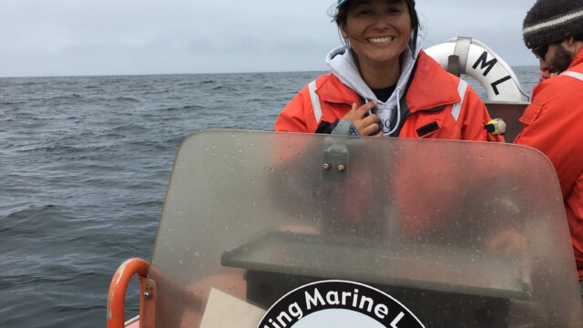 By Jennifer Johnson (own work)