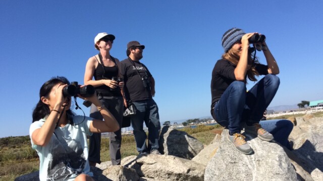 By Jennifer Johnson (own work)