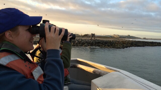 By Jennifer Johnson (own work)