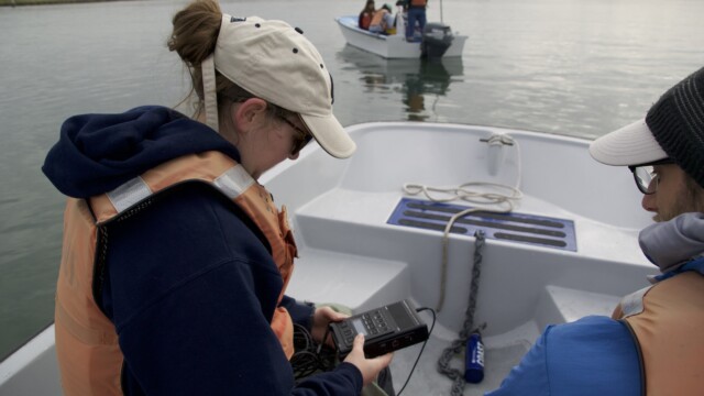 By Mason Cole (own work)