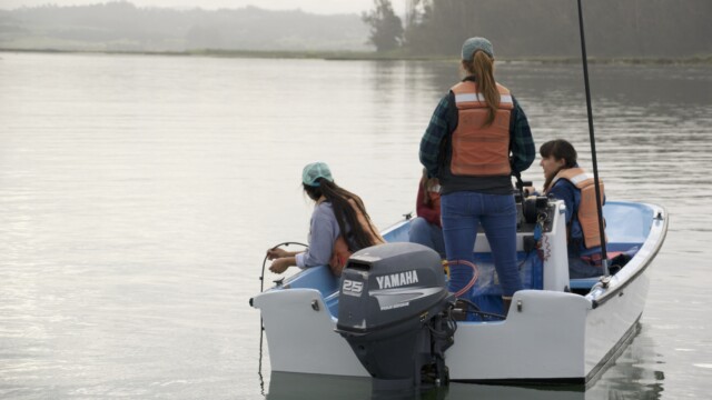 By Mason Cole (own work)