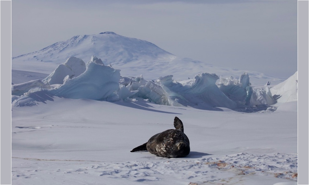 Permit# ACA 2023-003 ACA 2023-003