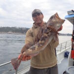Ben E. showing off his massive Lingcod (Ophiodon elongatus) Ben E. and a lingcod on a CCFRP trip