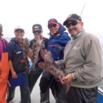 Jen C., Jack J., Ken Y., and Mark A. comparing Lingcod (Ophiodon elongatus) Jen C, Jack J, Ken Y, and Mark A. with 3 lingcod