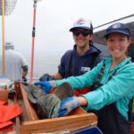 Ryan F. and Erin S. measuring a Lingcod (Ophiodon elongatus) Ryan F. and Erin S. measuring a lingcod on a CCFRP trip