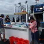 A glimpse at the processing station on the F/V Sum Fun A glimpse at the processing station on the F/V Sum Fun