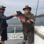 A volunteer angler proudly displays his California Sheephead (Semicossyphus pulcher) that was caught and released on the F/V Sum Fun A volunteer angler proudly displays his California Sheephead (Semicossyphus pulcher) that was caught and released on the F/V Sum Fun
