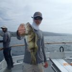 Barred Sand Bass (Paralabrax nebulifer) caught and released on the F/V Sum Fun Barred Sand Bass (Paralabrax nebulifer) caught and released on the F/V Sum Fun