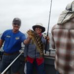 A Kelp Bass (Paralabrax clathratus) that was caught and released on the F/V Sea Star A Kelp Bass (Paralabrax clathratus) that was caught and released on the F/V Sea Star