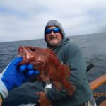 Brown Rockfish (Sebastes auriculatus) caught and released on the F/V Sea Watch Brown Rockfish (Sebastes auriculatus) caught and released on the F/V Sea Watch