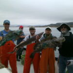 Chandler S.H., Zach K., Wyatt P. and a volunteer angler with two Lingcod (Ophiodon elongatus) and a Spiny Dogfish (Squalus acanthias) that was were caught and released in the Point Buchon reference cells Chandler S.H., Zach K., Wyatt P. and a volunteer angler with two Lingcod (Ophiodon elongatus) and a Spiny Dogfish (Squalus acanthias) that was were caught and released in the Point Buchon reference cells