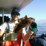 Chandler S.H. with the first Cabezon (Scorpaenichthys marmoratus) of the 2017 sampling season Chandler S.H. with the first Cabezon (Scorpaenichthys marmoratus) of the 2017 sampling season