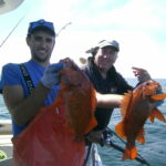 Chandler S.H. and Jason A with a Vermilion Rockfish (Sebastes miniatus) double catch Chandler S.H. and Jason A with a Vermilion Rockfish (Sebastes miniatus) double catch