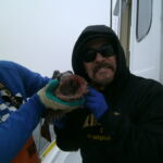 Eddie G. with the toothy end of a Lingcod (Ophiodon elongatus) caught and released in the Piedras Blancas MPA Eddie G. with the toothy end of a Lingcod (Ophiodon elongatus) caught and released in the Piedras Blancas MPA
