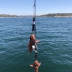 Two Copper Rockfish (Sebastes caurinus) on SeaQualizers about to be descended back down to depth so they can swim off successfully Two Copper Rockfish (Sebastes caurinus) on SeaQualizers about to be descended back down to depth so they can swim off successfully