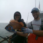 A tagged Copper Rockfish (Sebastes caurinus) from the Piedras Blancas MPA A tagged Copper Rockfish (Sebastes caurinus) from the Piedras Blancas MPA