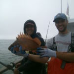 A tagged Copper Rockfish (Sebastes caurinus) from the Piedras Blancas MPA A tagged Copper Rockfish (Sebastes caurinus) from the Piedras Blancas MPA