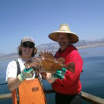 Matt M. and Captain James with a tagged Copper Rockfish (Sebastes Caurinus) Matt M. and Captain James with a tagged Copper Rockfish (Sebastes Caurinus) caught on a CCFRP trip