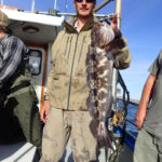 A Volunteer angler holding up his Lingcod (Ophiodon elongatus) prior to release A Volunteer angler holding up his Lingcod (Ophiodon elongatus) prior to release