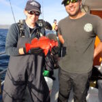 The BML team with a Vermilion Rockfish (Sebastes miniatus) prior to release The BML team with a Vermilion Rockfish (Sebastes miniatus) prior to release