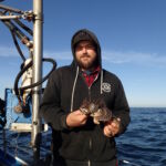 An awesome Buffalo Sculpin (Enophrys bison)! An awesome Buffalo Sculpin (Enophrys bison)!