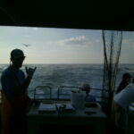 Steaming back home after a day of catch and release fishing in the Point Buchon MPA Steaming back home after a day of catch and release fishing in the Point Buchon MPA