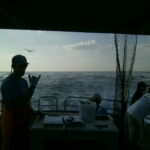Steaming back home after a day of catch and release fishing in the Point Buchon MPA Steaming back home after a day of catch and release fishing in the Point Buchon MPA