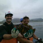 A tagged Treefish (Sebastes serriceps) A tagged Treefish (Sebastes serriceps)