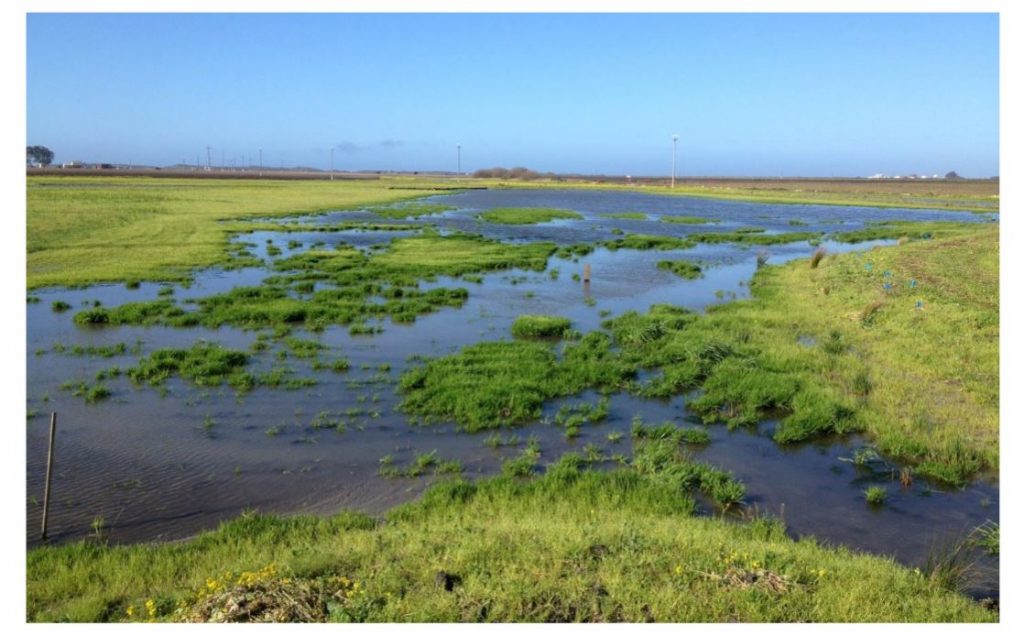 City of Santa Cruz Sea Level Rise Adaptation Studies – Central Coast ...