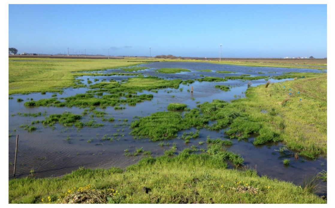 Bar Built Estuary info page and Map – Central Coast Wetlands Group