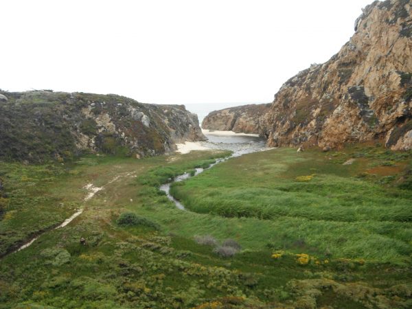 Bar Built Estuary info page and Map – Central Coast Wetlands Group